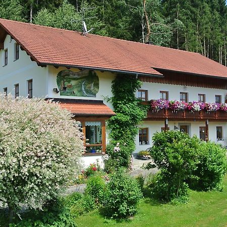 Haus Am Waldrand - Ferienwohnung Augustin Grafenau  Zewnętrze zdjęcie