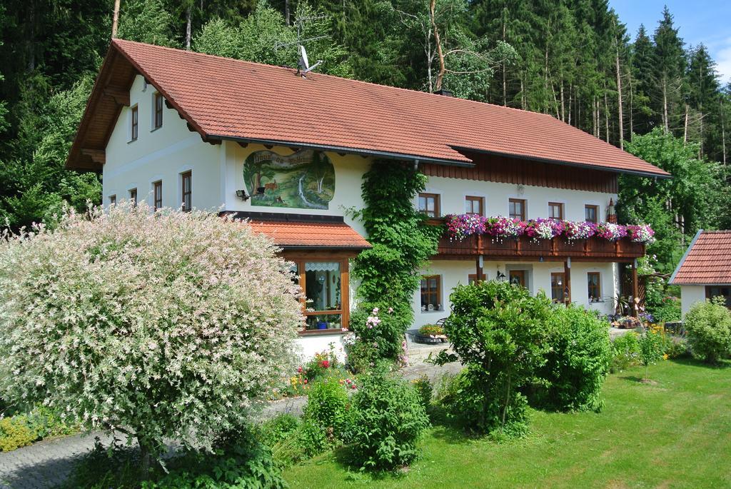 Haus Am Waldrand - Ferienwohnung Augustin Grafenau  Zewnętrze zdjęcie