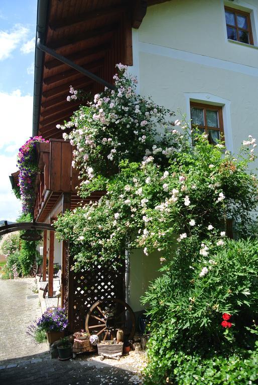 Haus Am Waldrand - Ferienwohnung Augustin Grafenau  Zewnętrze zdjęcie